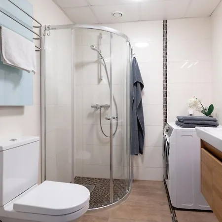 Viru Stylish Apartament *